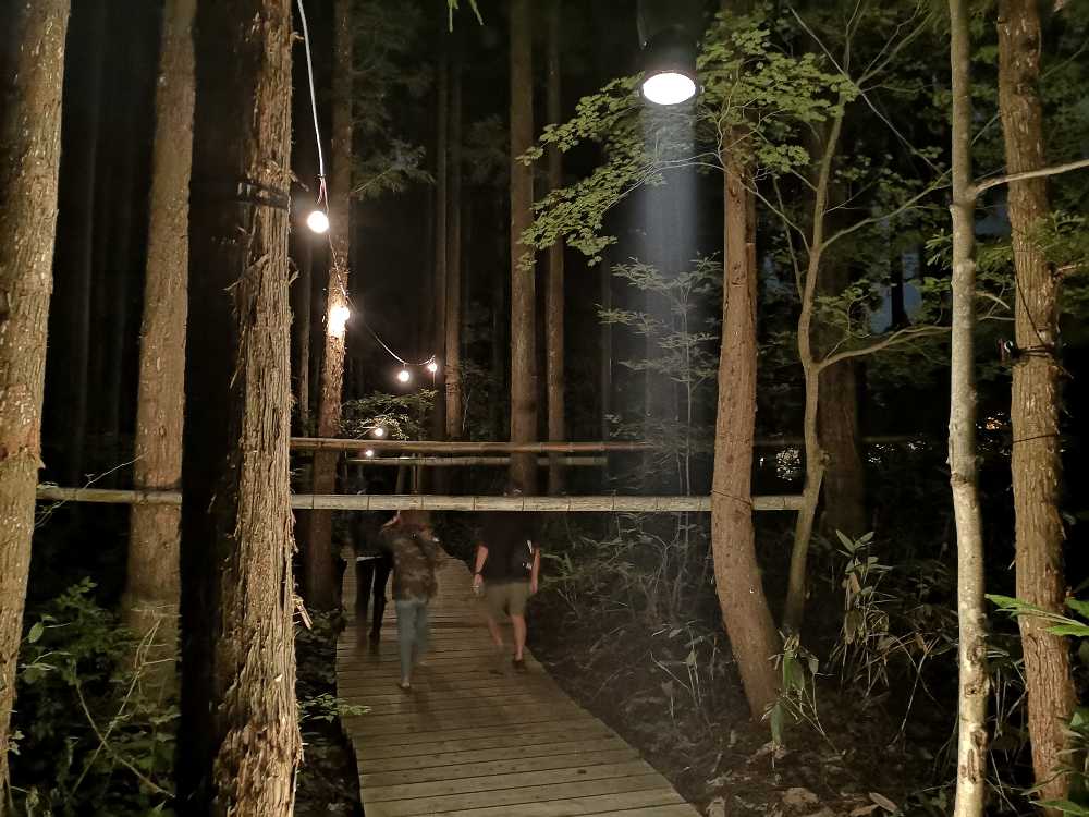 これもくぐります。一応照明はあります。