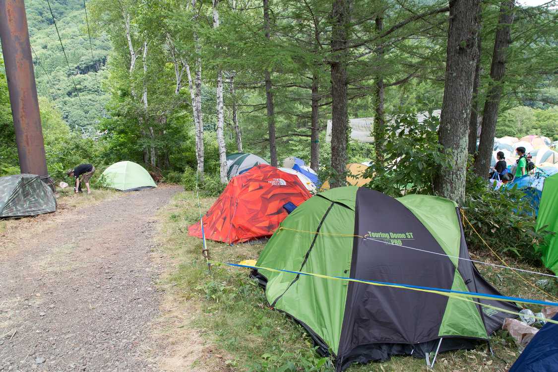 Dサイトの最も北側。入り口から最も遠いところです。