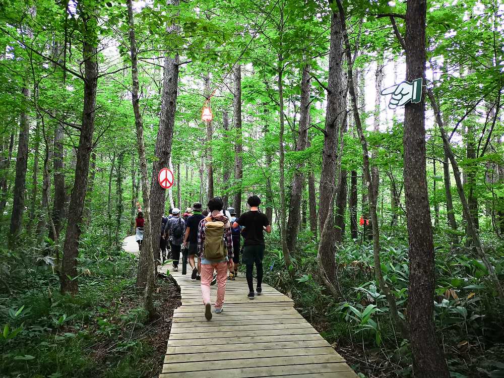 ホワイトステージを越え、森に入ります。