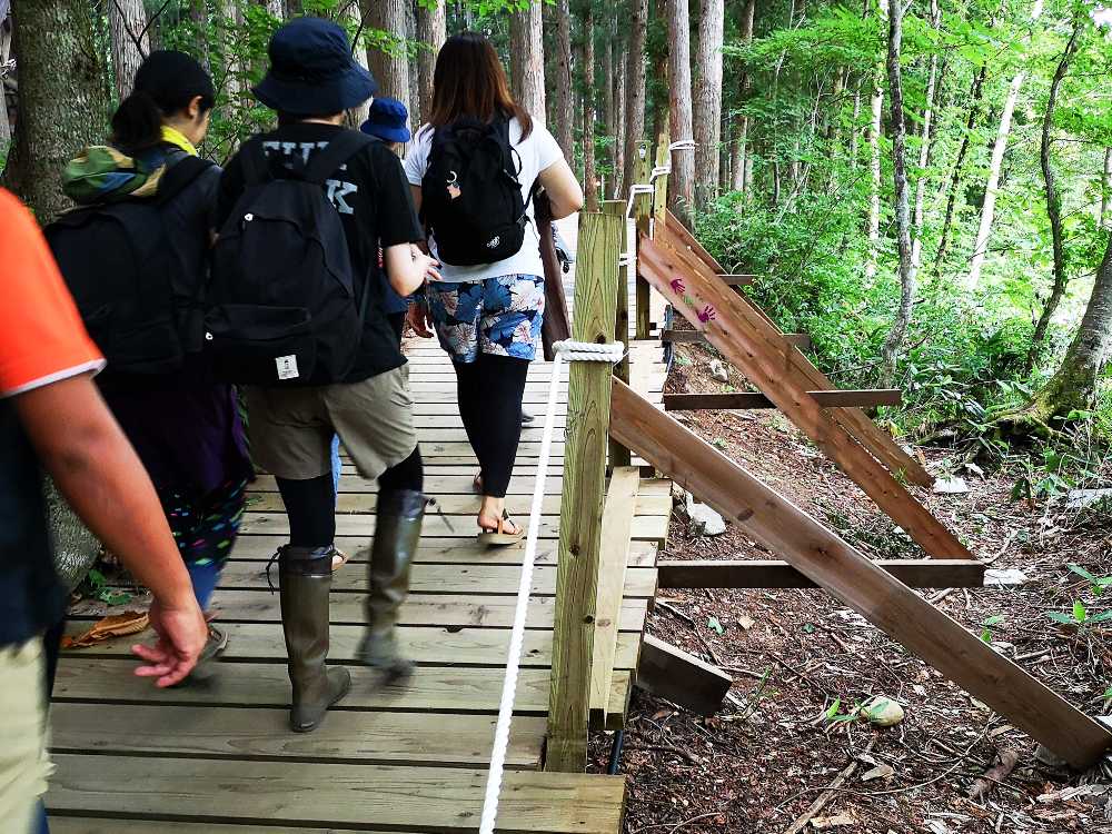 支柱を支える木。