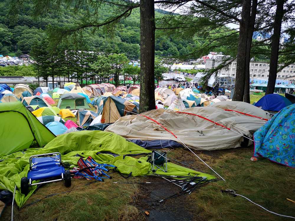 キャンプサイトの入り口に近い木陰。