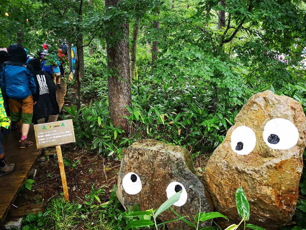 石に目をつけるゴンチャン。