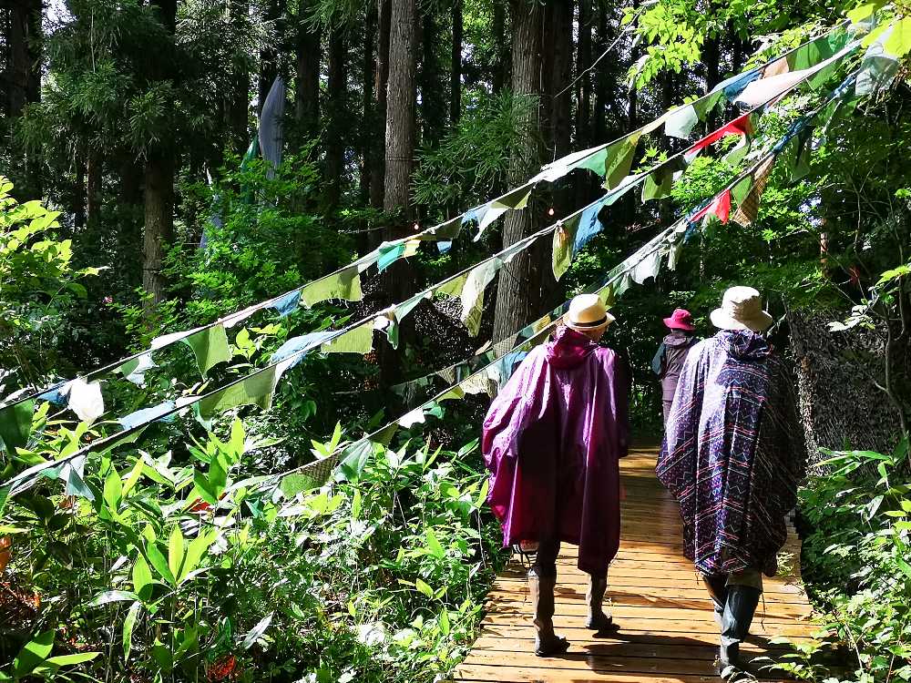 オレンジカフェ方面へ。