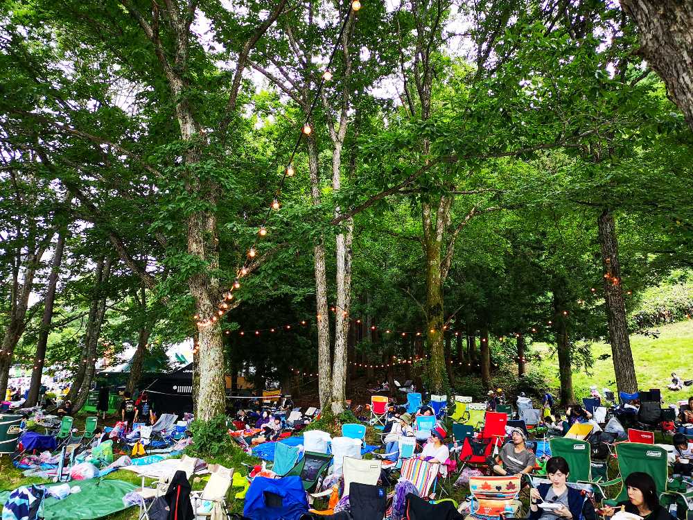木陰に電球がありました。