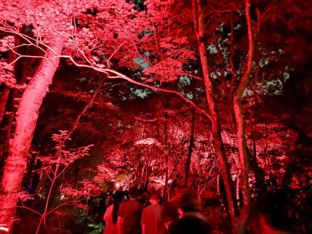 オレンジカフェ行きとは異なる演出にしたのはいいアイデアでした。