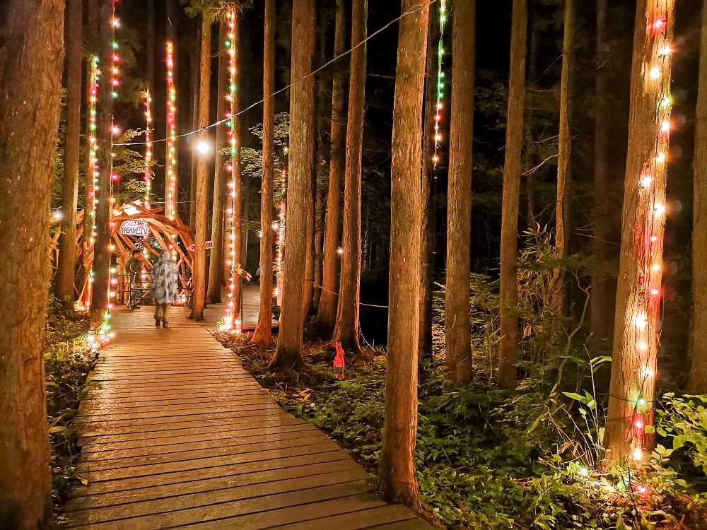 フィールド・オブ・ヘブン近くの電飾。