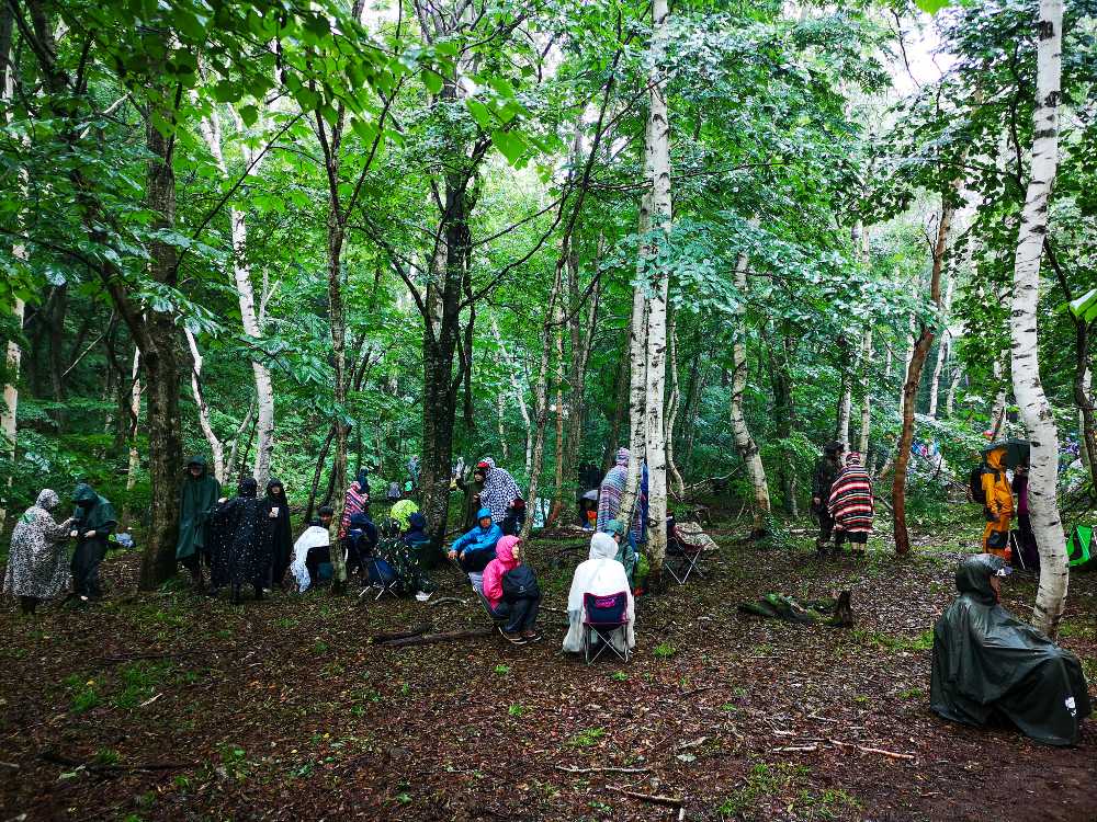 ところ天国手前の林。伐採され整地されています。