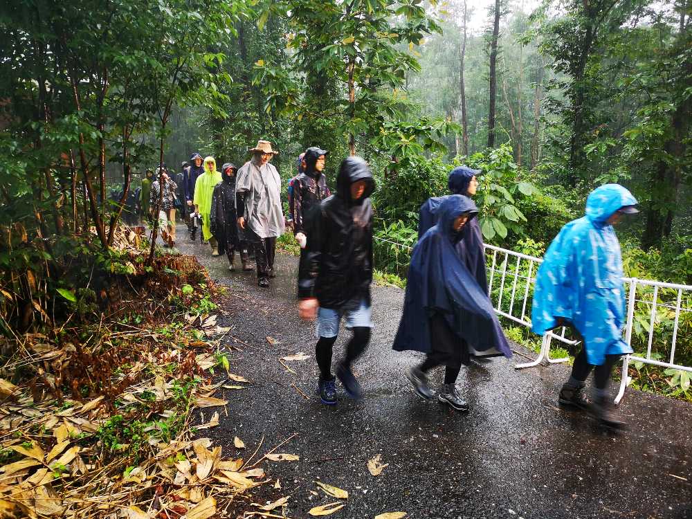 ホワイトステージを回避する迂回路。