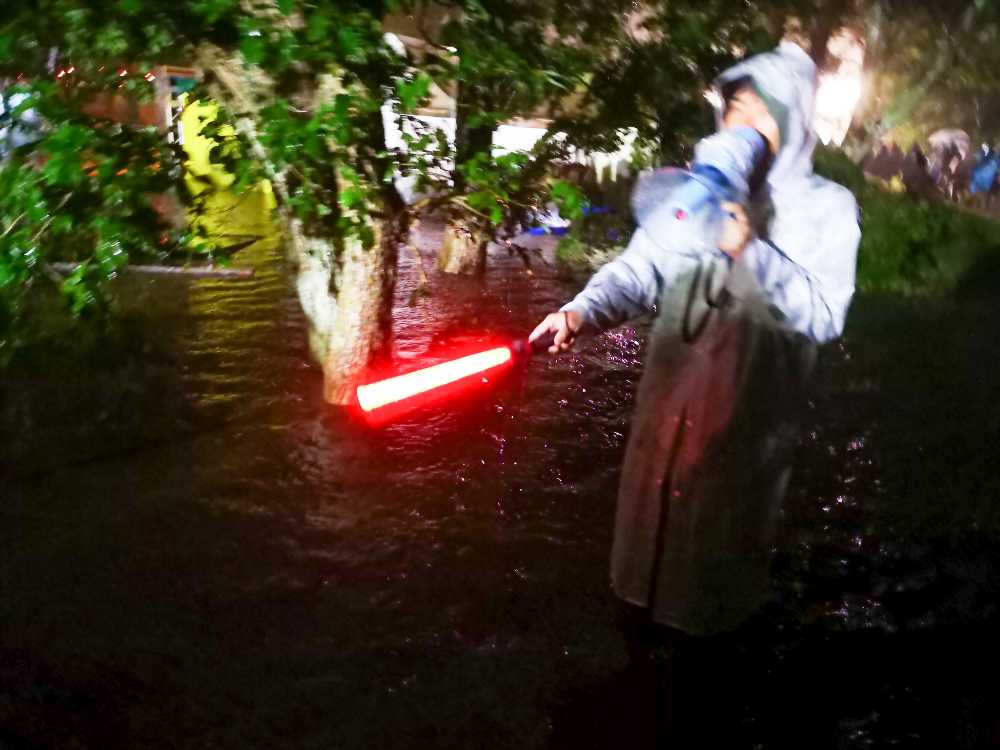 木の根元が見えない。