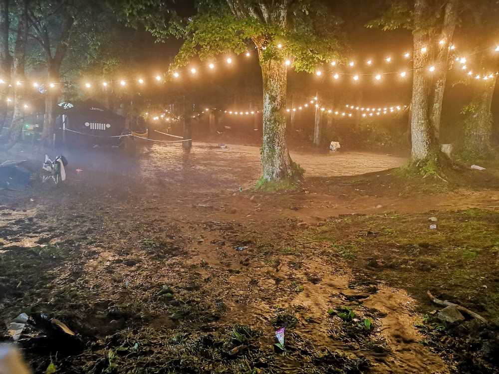 物販店の裏は池ができていました。