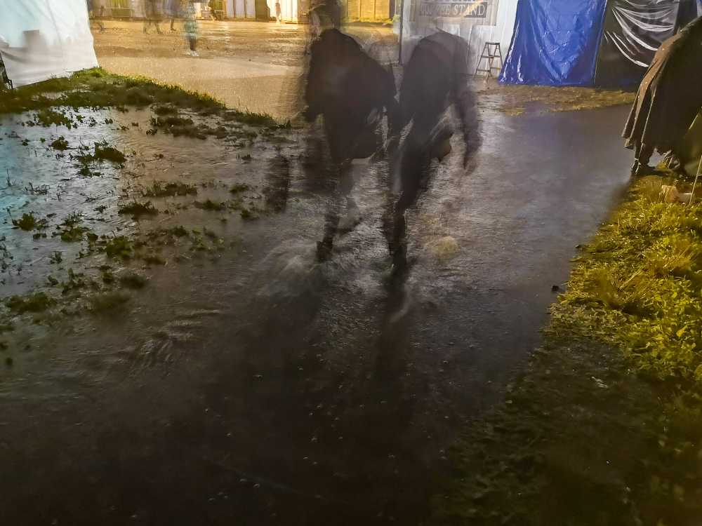 キャンプサイト入り口。