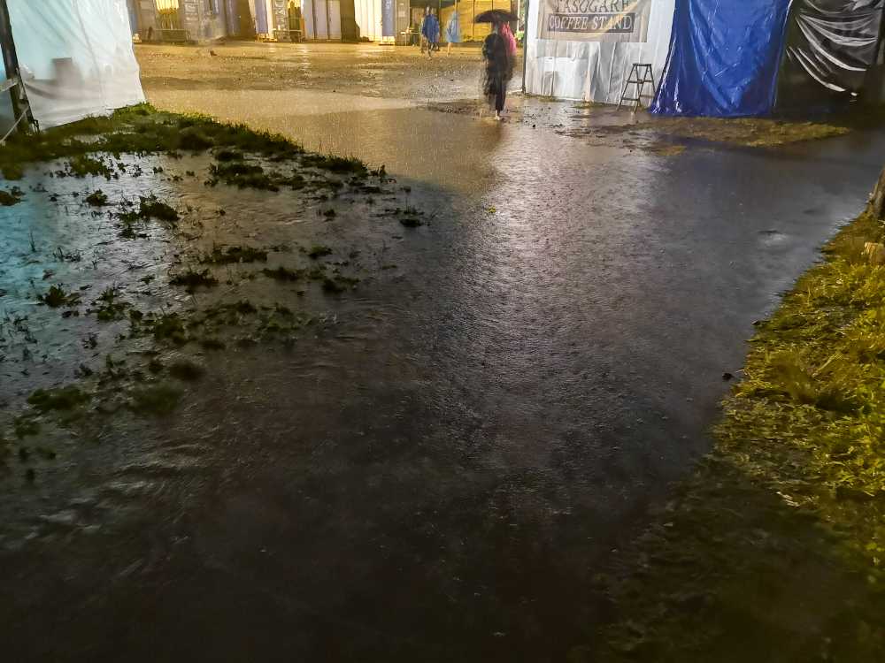 舗装部分との境目が見えません。