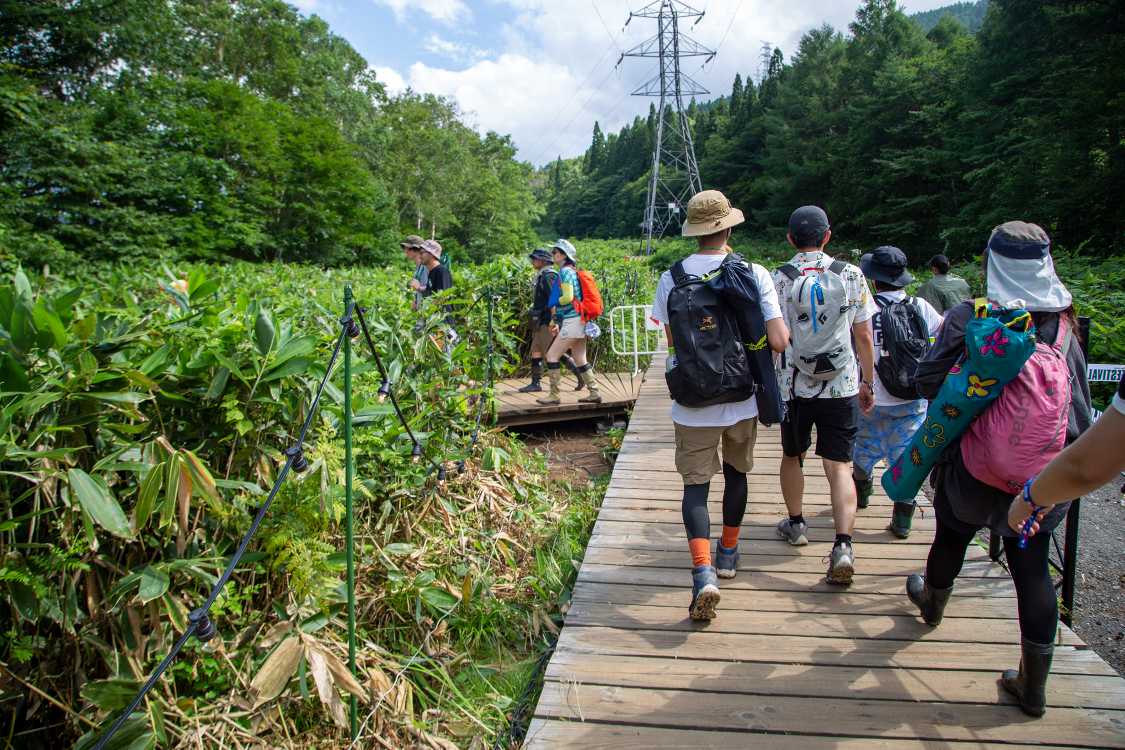 グリーンステージ方面へ行こうとしましたが。