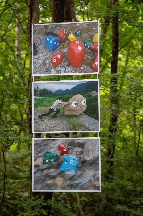 例年と同じ写真。