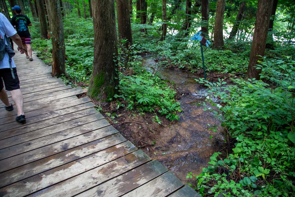 ボードウォークの下を川が流れます。