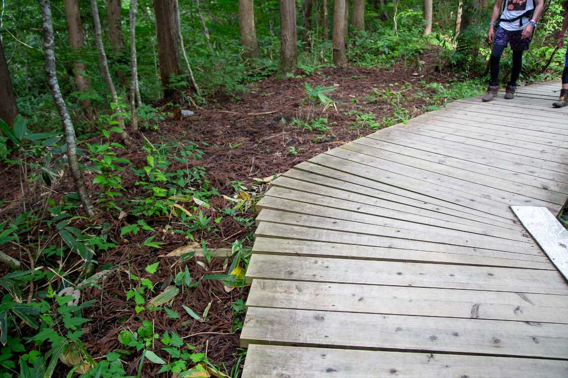 急カーブのボードウォーク。直角よりも難しい。