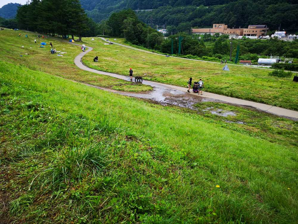 月曜朝のキャンプサイト。