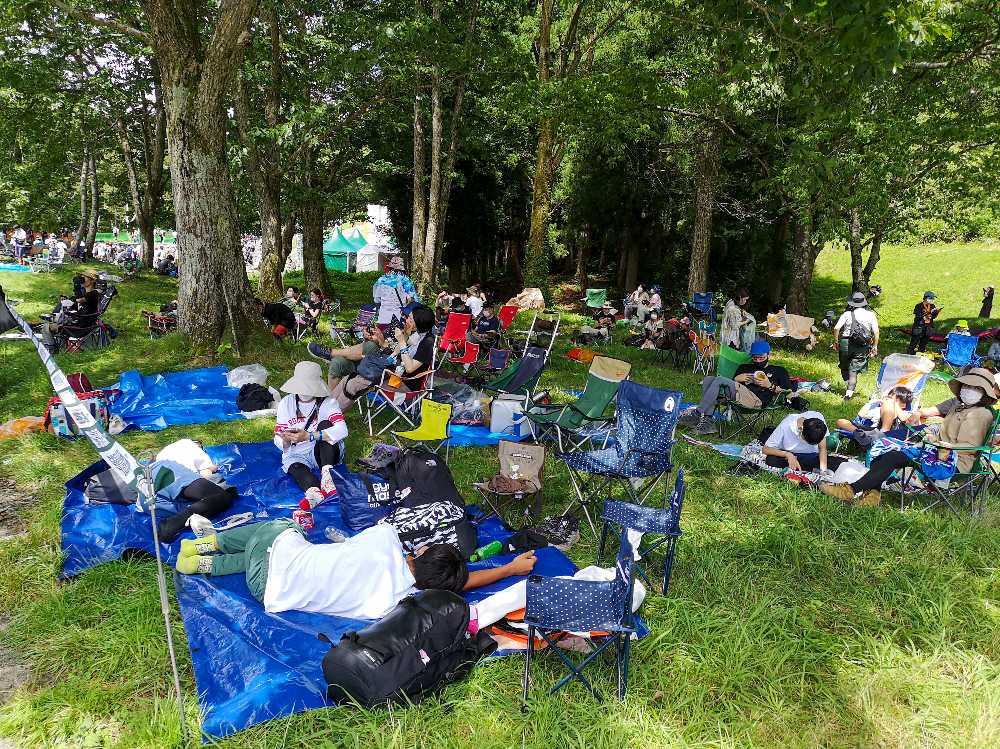 物販店手前の木陰。