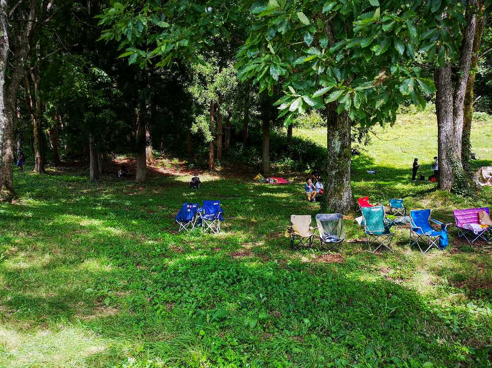 2019年に雨で池になったところ。