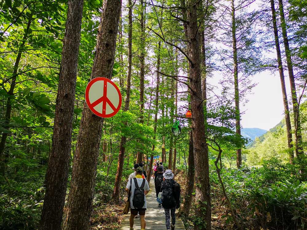 ボードウォークその3。