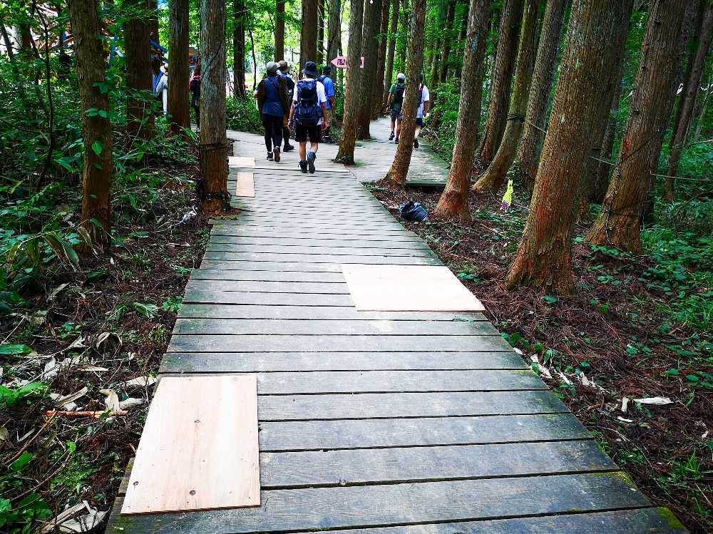 修復跡があるボードウォーク。