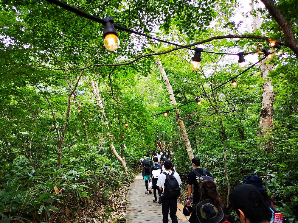 ボードウォークその4。