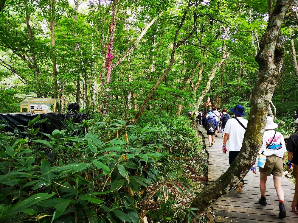 夜のライトアップ用機材が見えます。