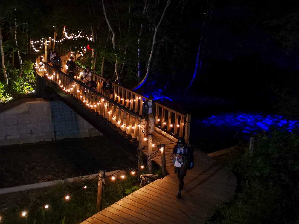 夜のみどり橋。