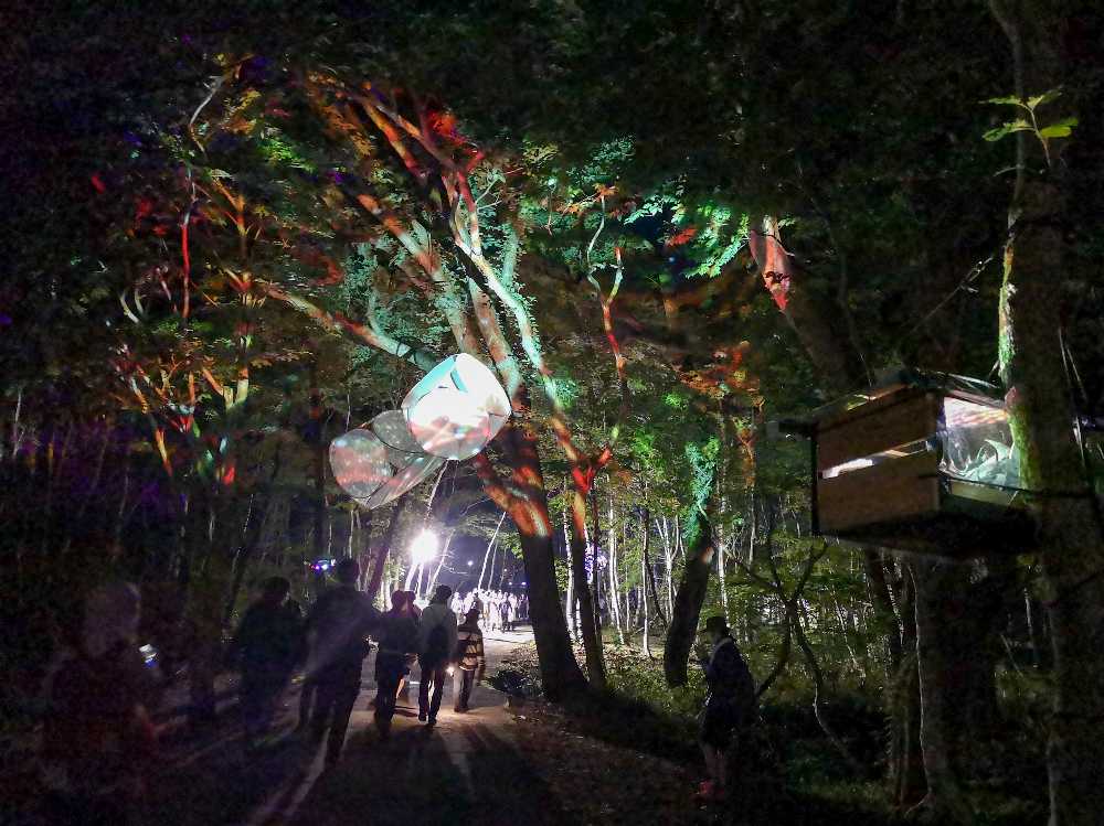 導線全体を照らしています。