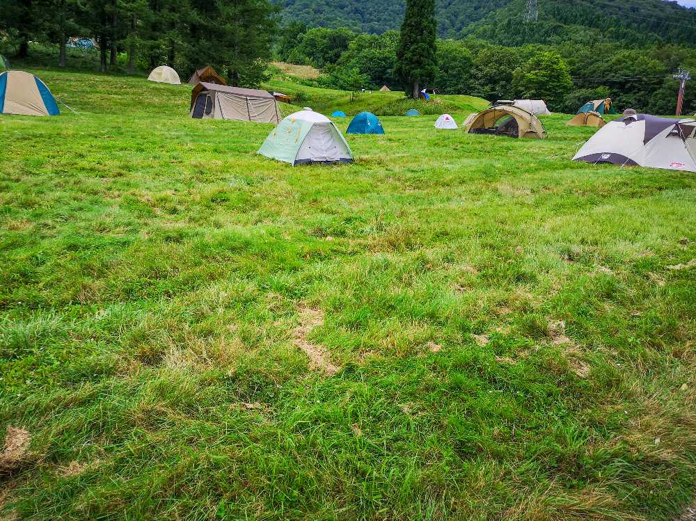 Dサイトになるとテントがまばらです。