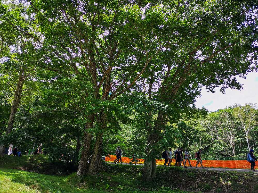 木の目玉の装飾はなし。