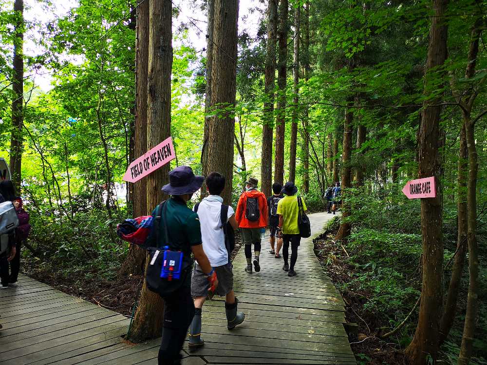 右はオレンジカフェ行き。