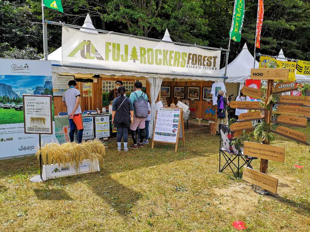 フジロックの森。