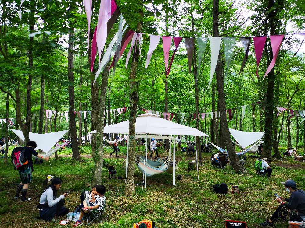 アバロンフィールド付近の森その4。