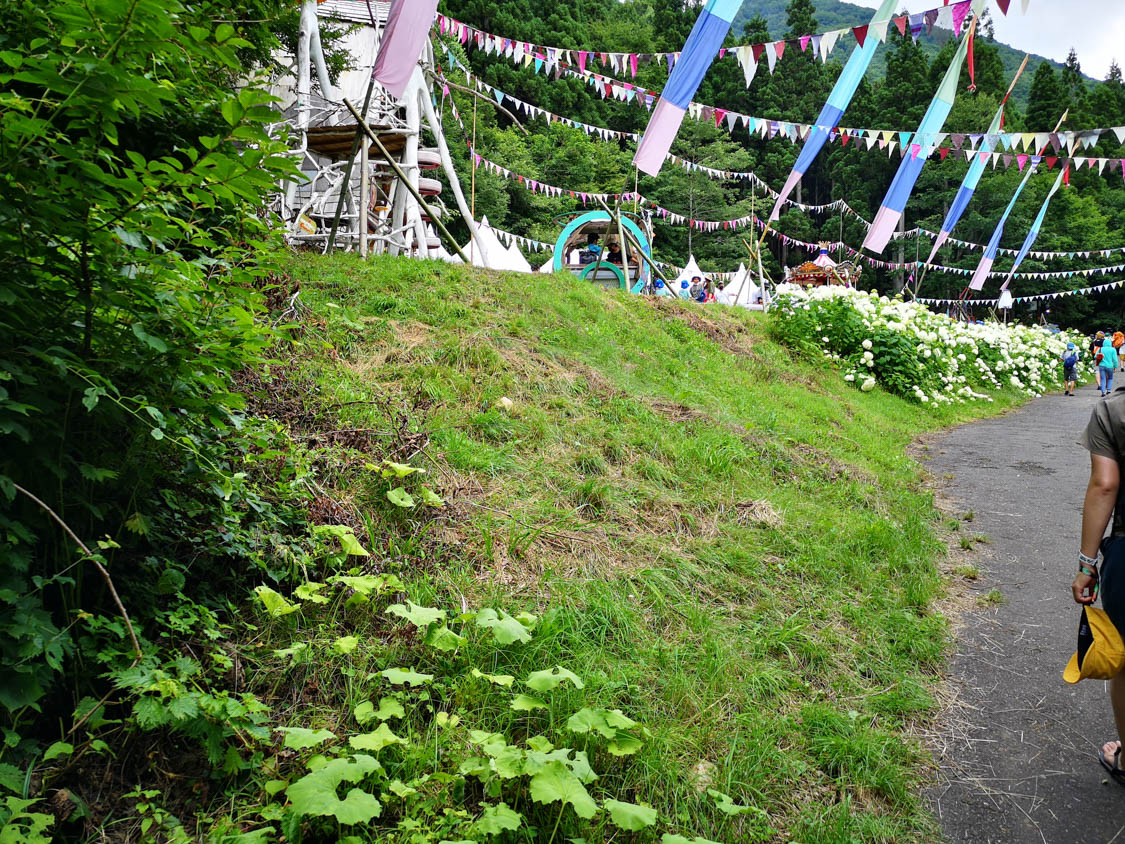 以前は簡易の階段もありましたが最近はなし。