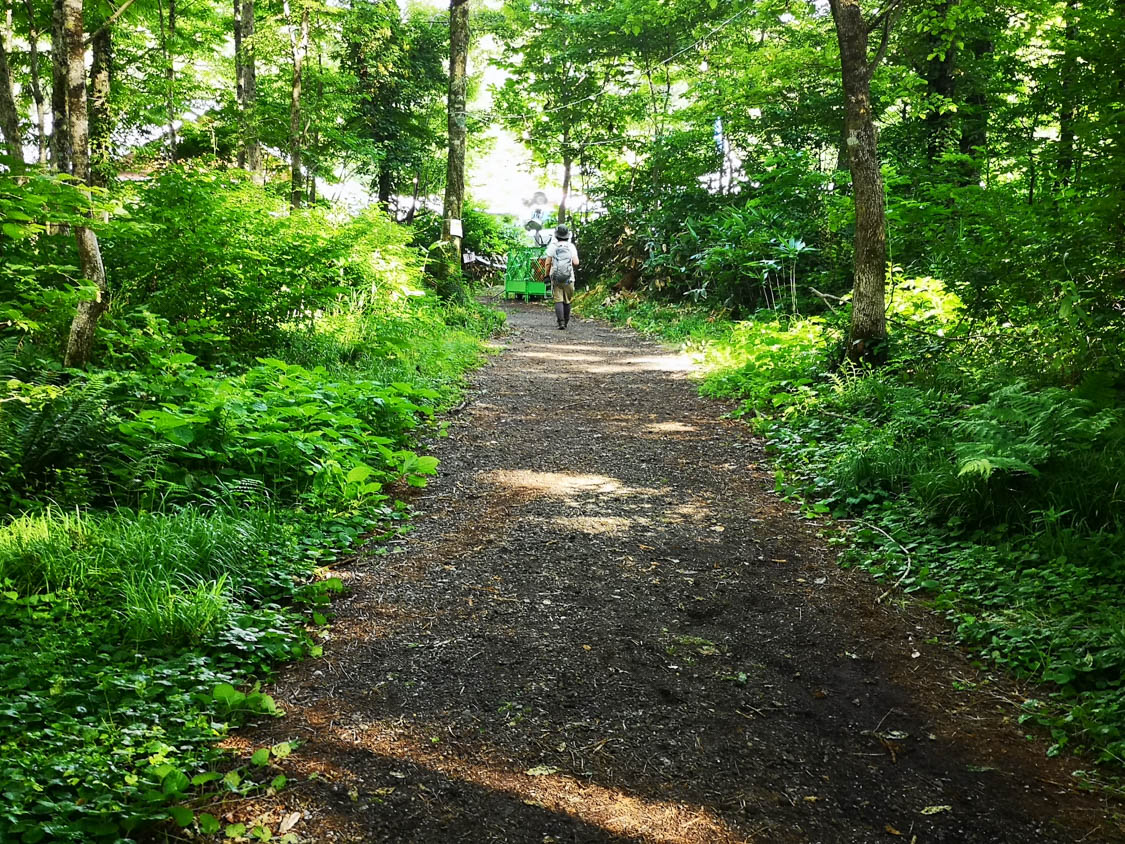 特に何もない導線。