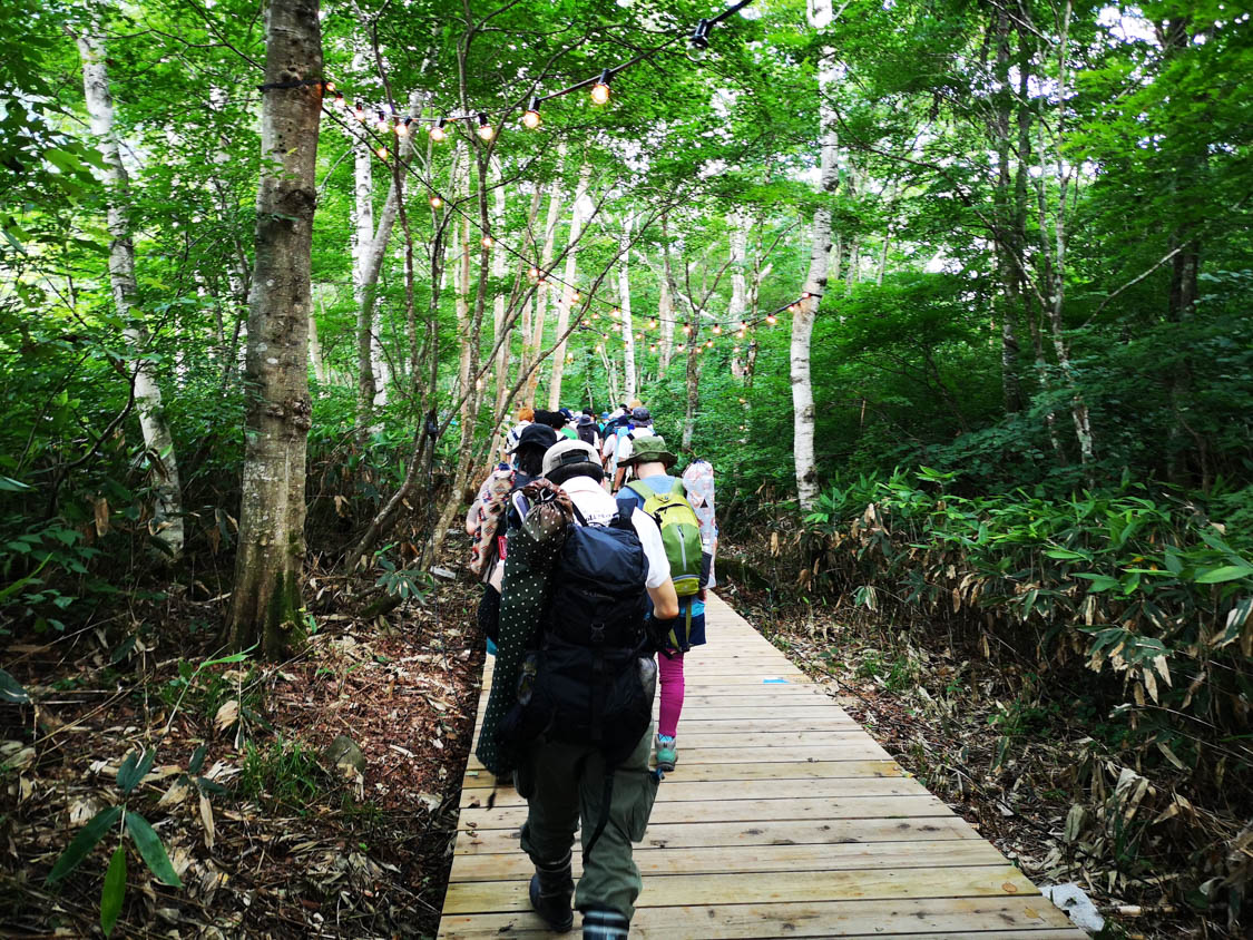 張り替えられた板。