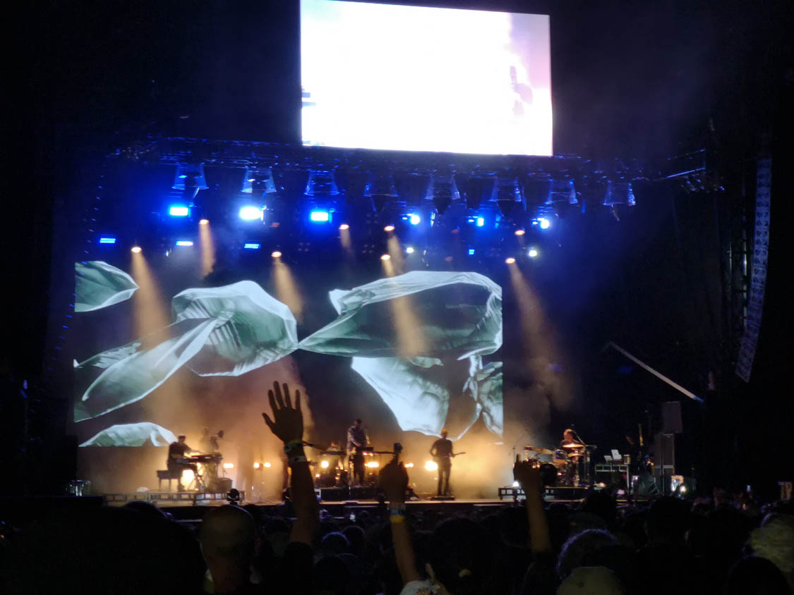 ボノボのころ。