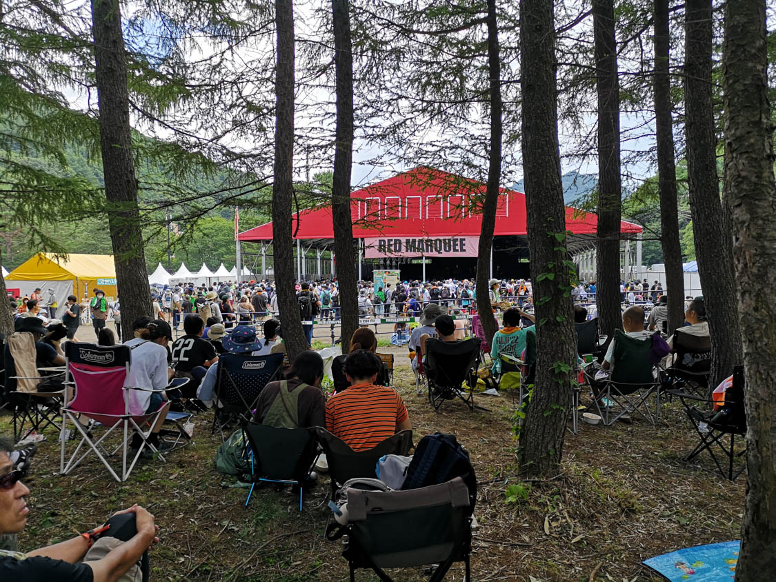 木陰からも見えますがかなり小さい。