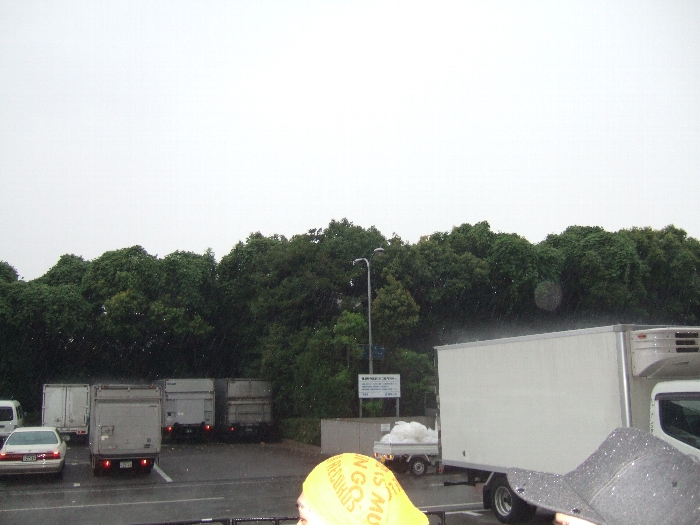 ザ・カーディガンズ公演中に降った激しい雨。マリン・ステージではゼブラヘッドの公演中でした。