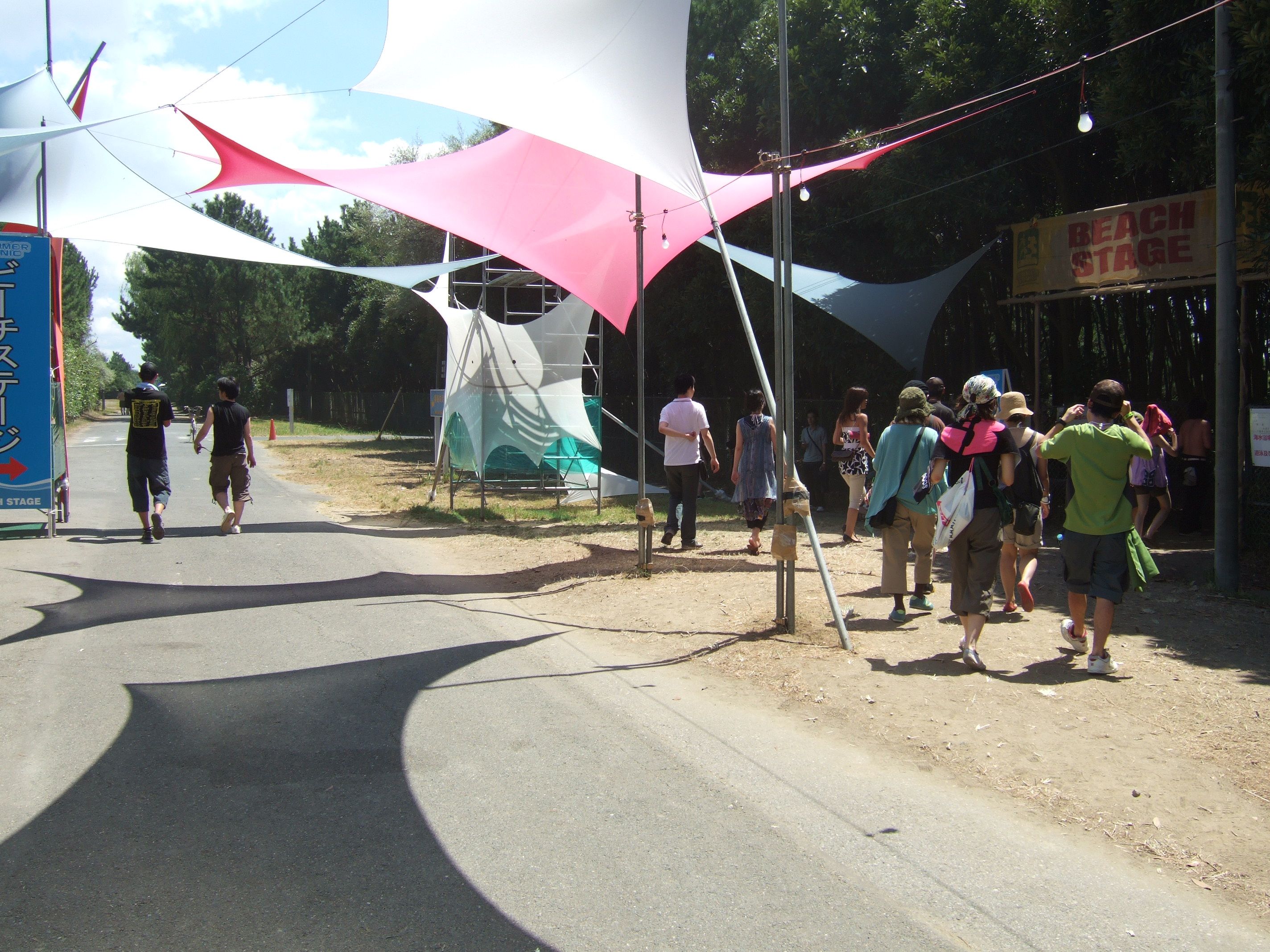 右に曲がって防風林に入ります。