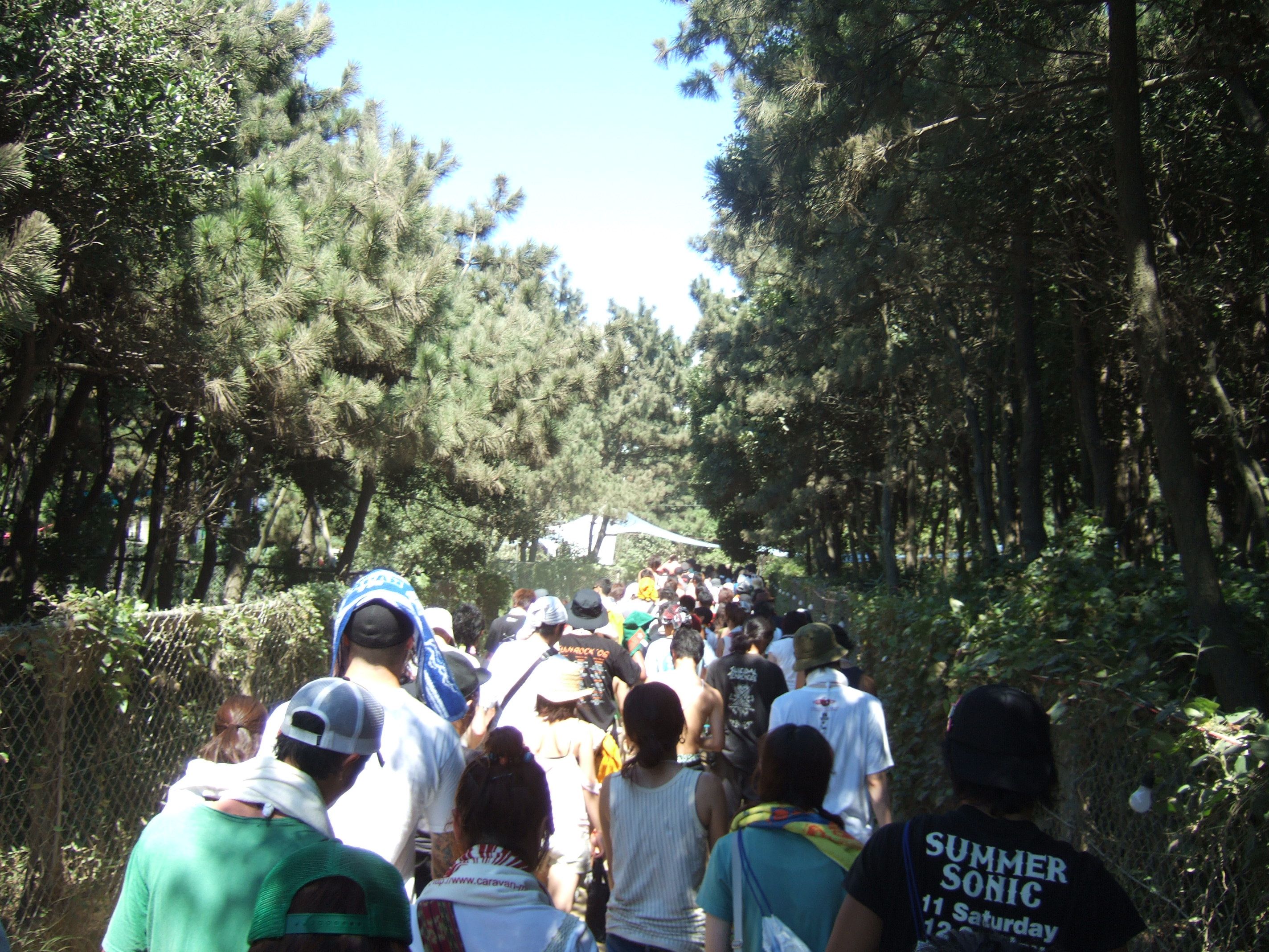 防風林の中。奥はマリンステージ。
