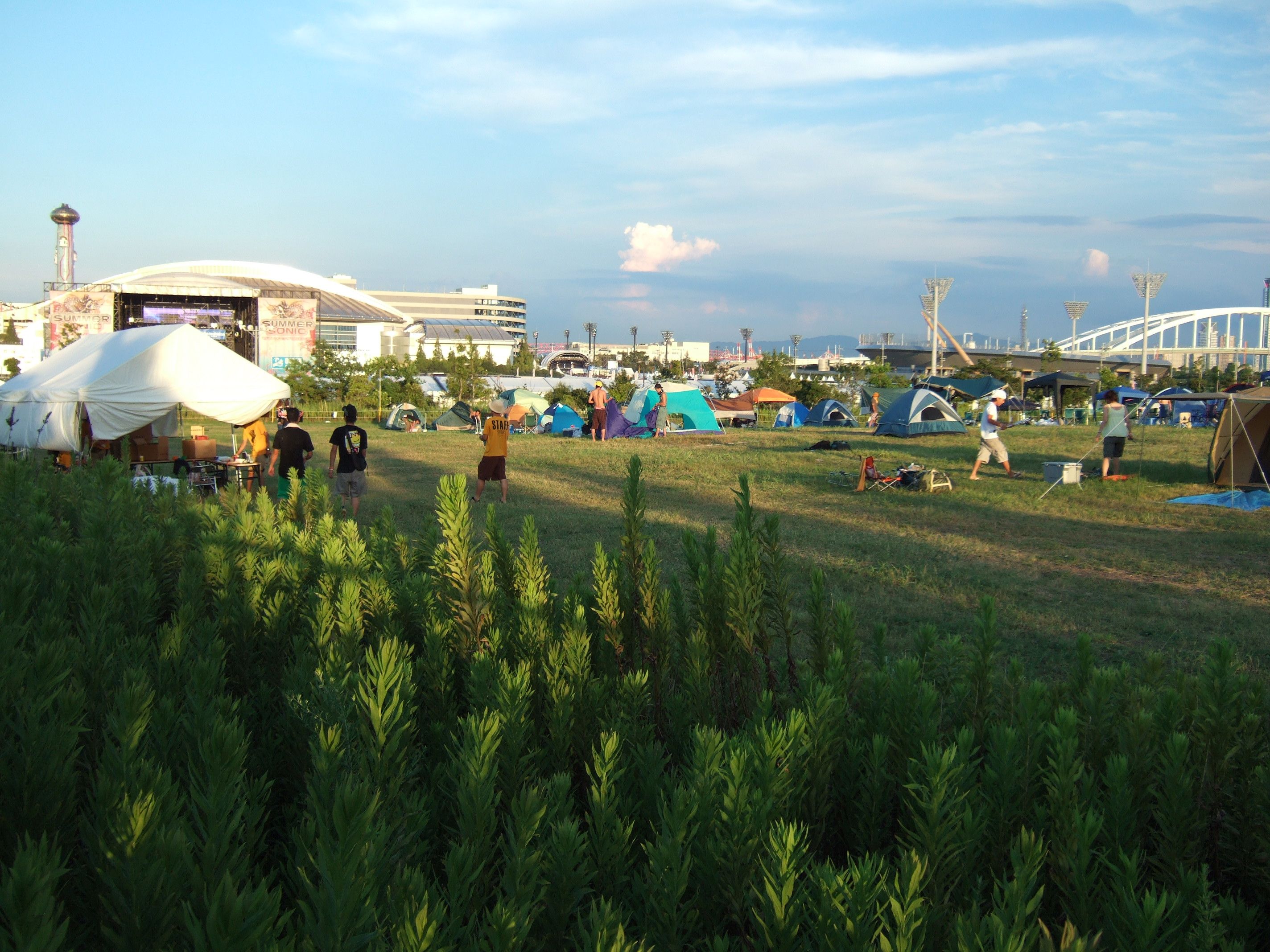 テントからオーシャンステージが見えます。