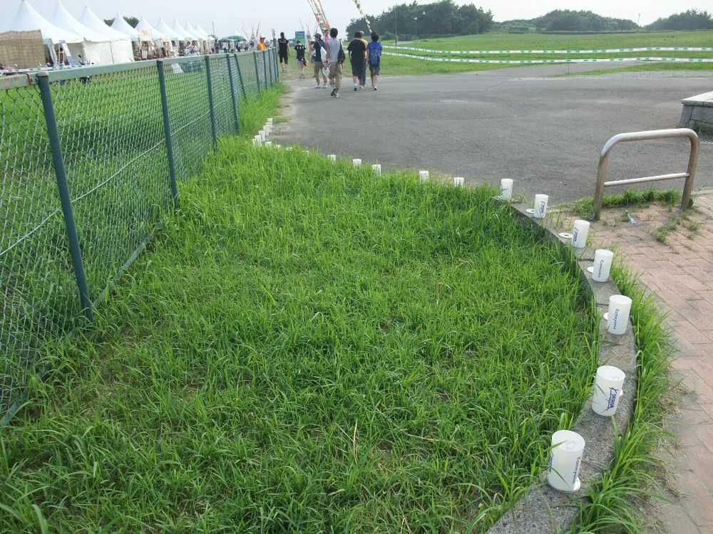 道沿いにカメヤマローソク。