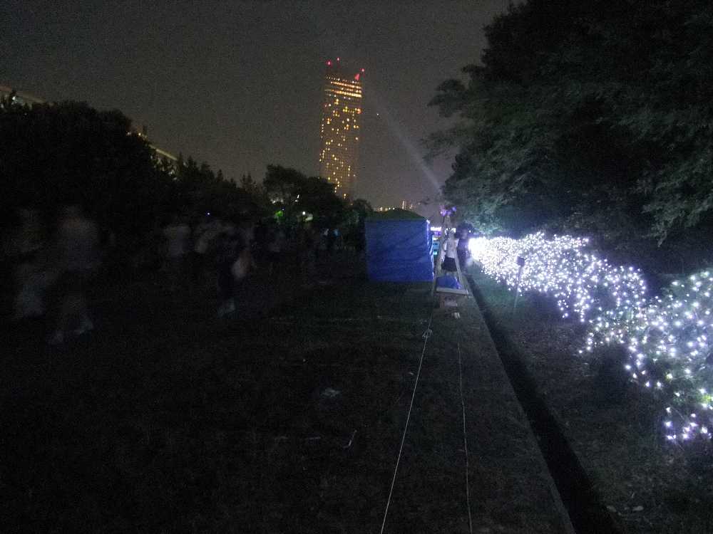 街路樹は光で装飾しています。