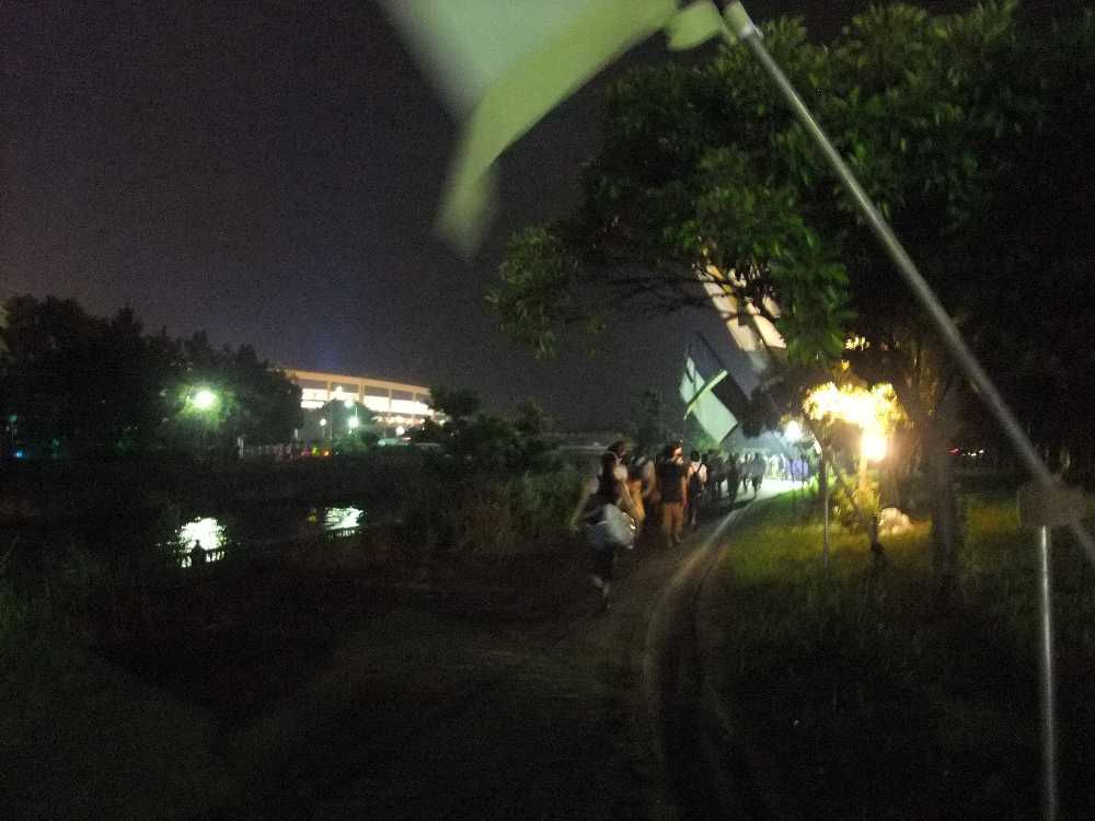 メッセからマリンステージへ・昼Bと同じ場所。実際はもっと明るい。