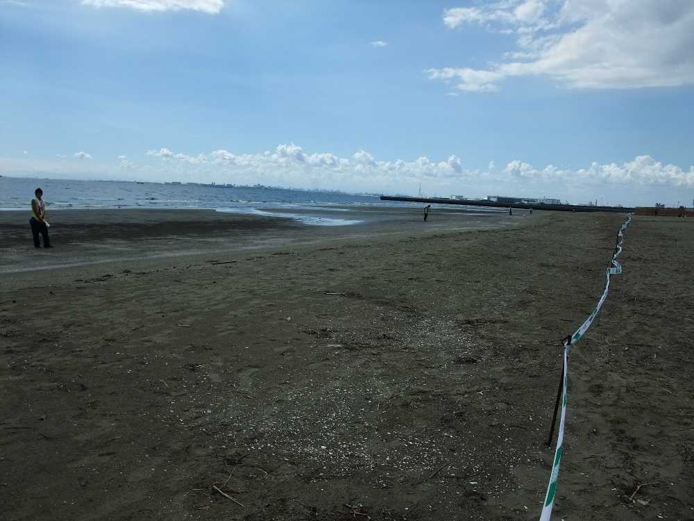 波打ち際数十メートルごとにスタッフが立っている。