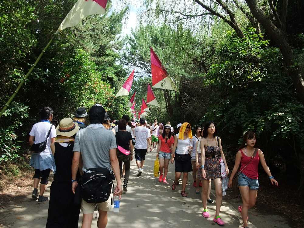 どこかで見たような雰囲気だ。