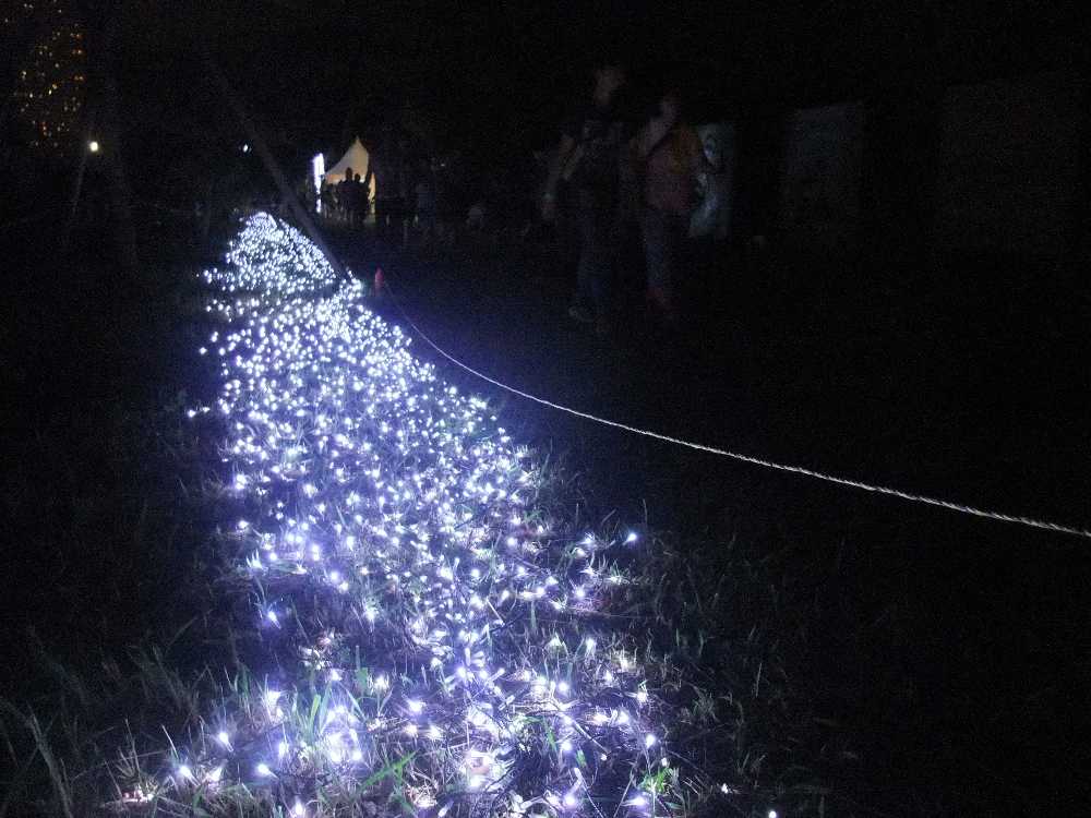 右側がマリンステージ。