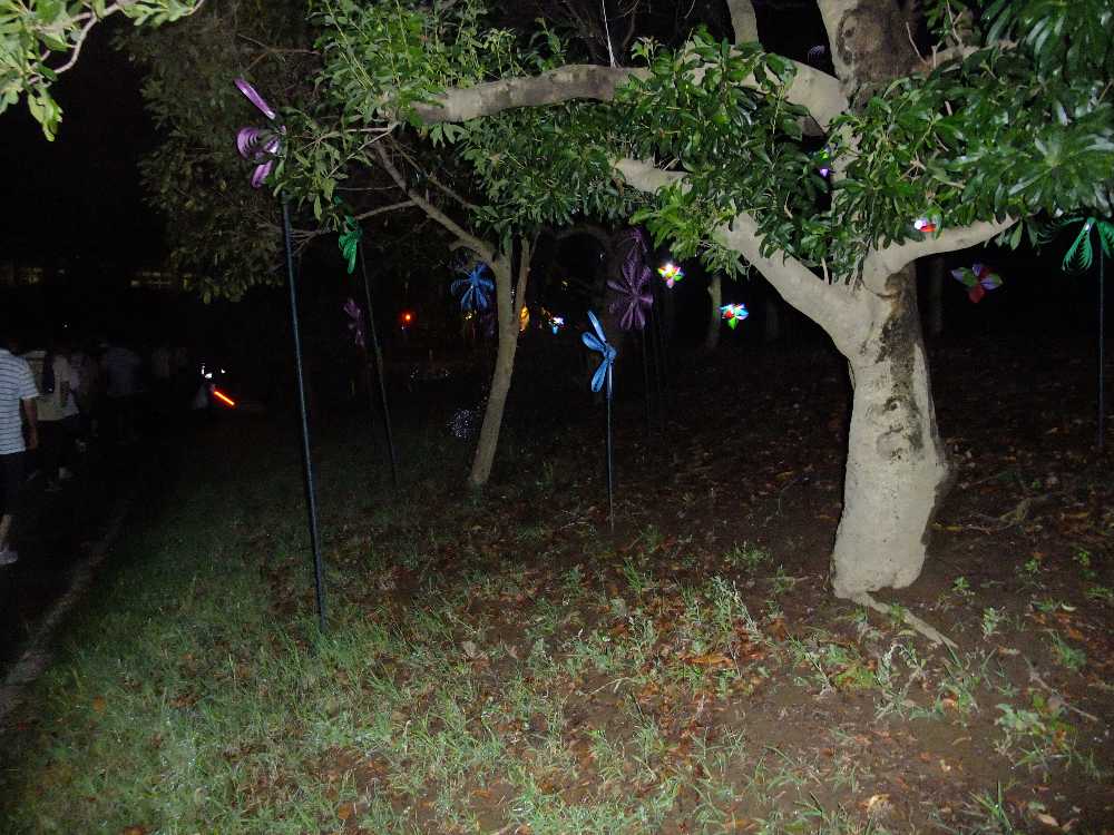 ライトアップはあまりない。